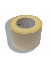TRANSPORTADOR PAEL